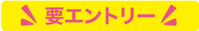 要エントリー