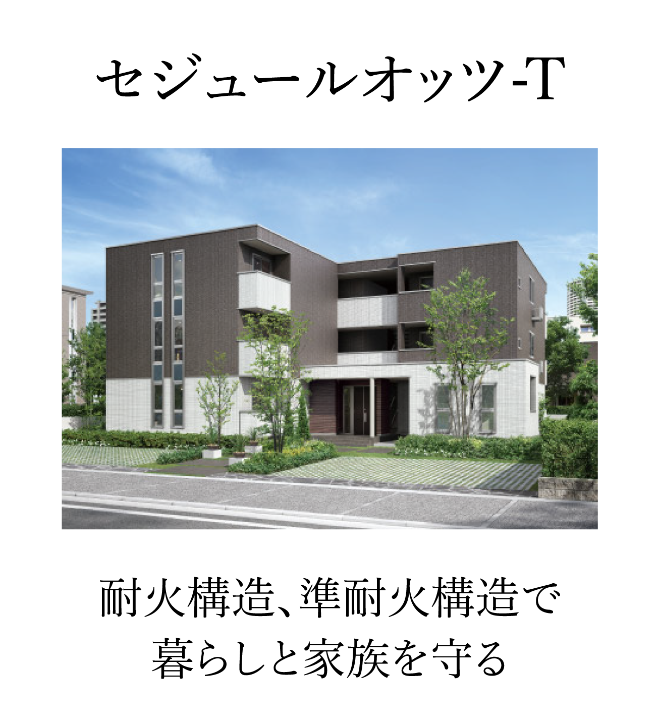 セジュールオッツ-T