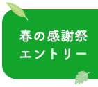 春の感謝祭エントリー