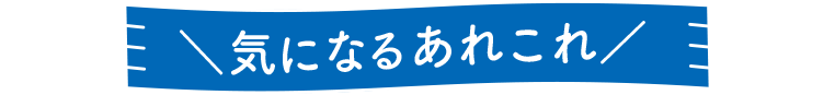 ＼気になるあれこれ／