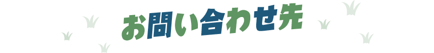 お問い合わせ先