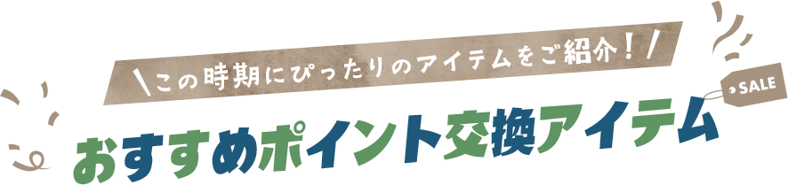 この時期にぴったりのアイテムをご紹介！おすすめポイント交換アイテム