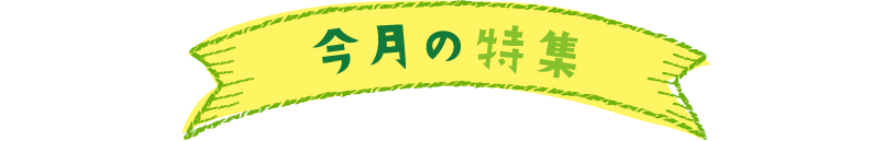 今月の特集