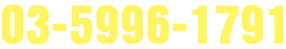 03-5996-1791