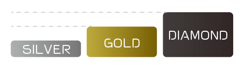 SILVER GOLD DIAMOND