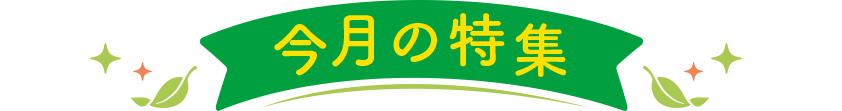 今月の特集