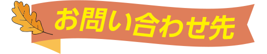 お問い合わせ先