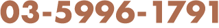 03-5996-1791