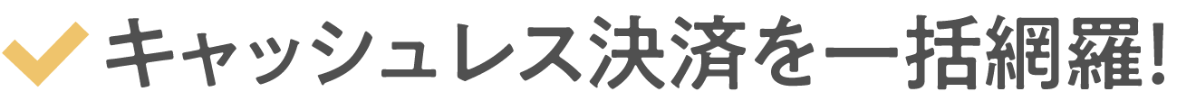 キャッシュレス決済を一括網羅!